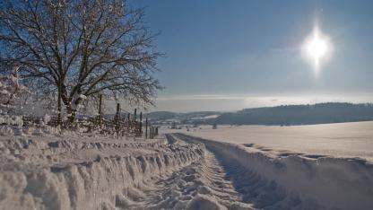 Winterlandschaft